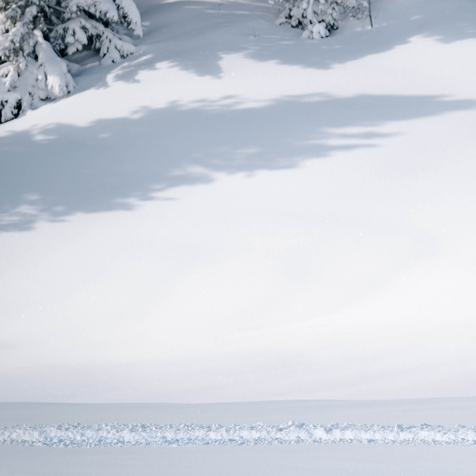 GIFTUNDER50_SNOW.jpg GIFTUNDER50_SNOW.jpg
