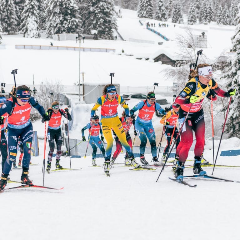 cross-country skiers competing in a race on a snowy landscape