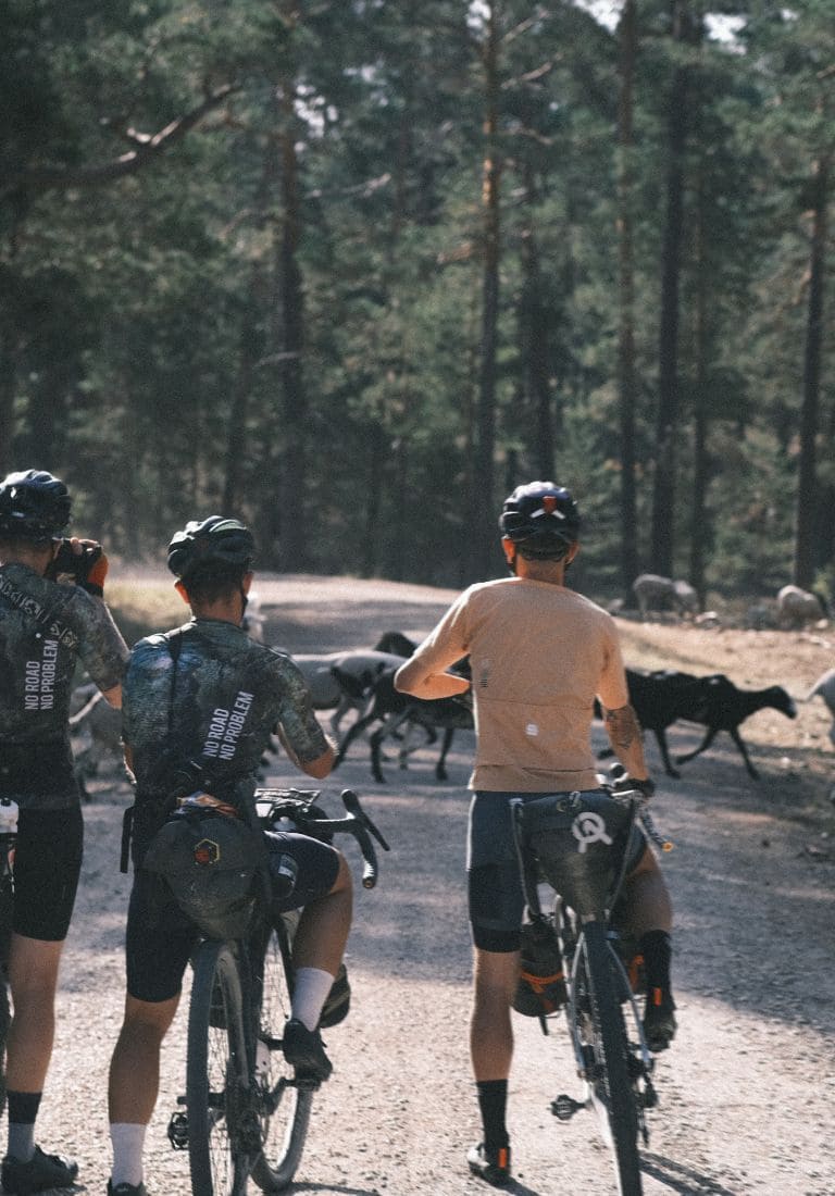 gravel cyclists looking at landscape gravel cyclists looking at landscape