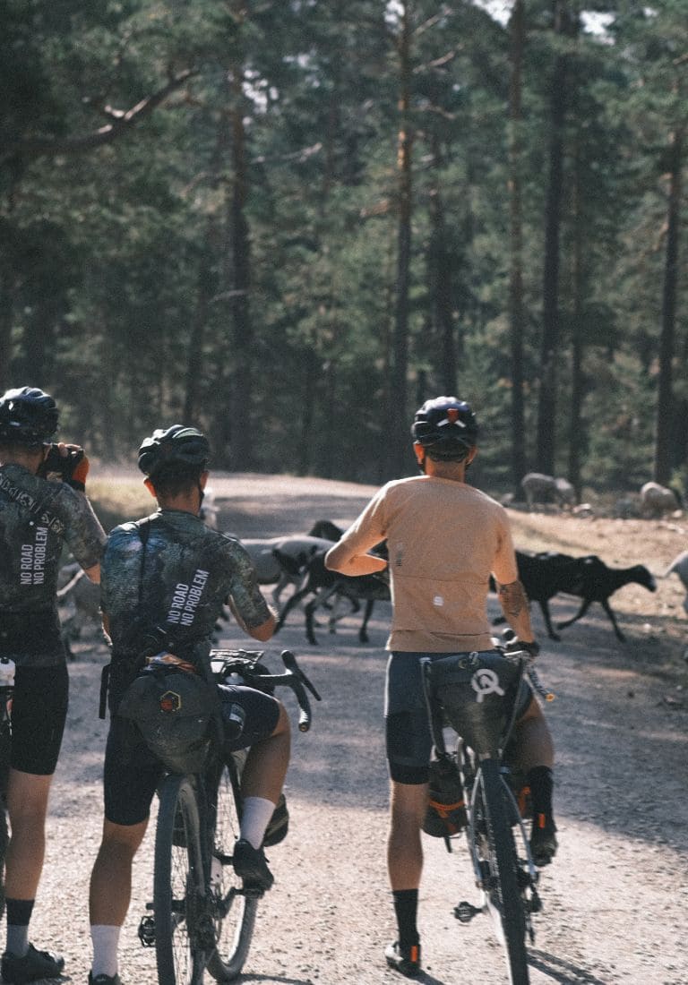 gravel cyclists looking at landscape