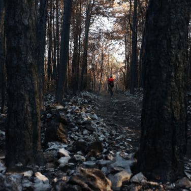 cyclist doing bikepacking in a forest