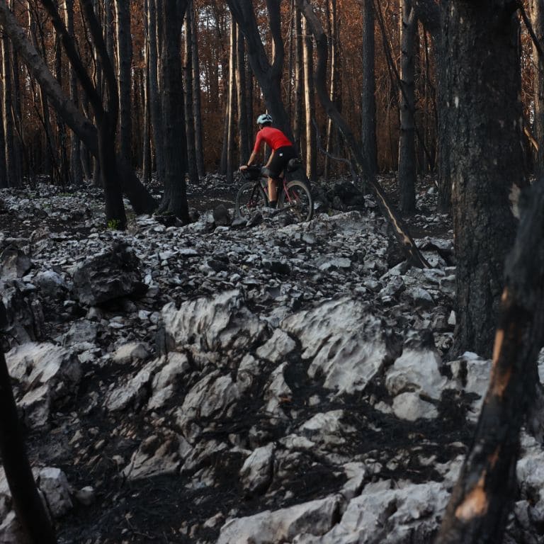 a bikepacking cyclist in a forest