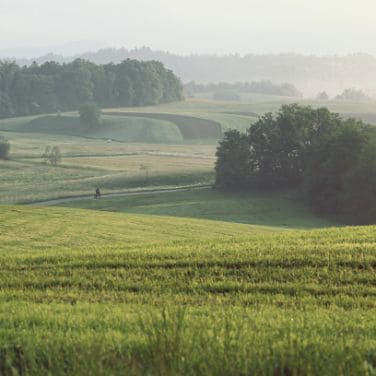 landscape of the Carso Trail: green fields illuminated by the first light of the sun