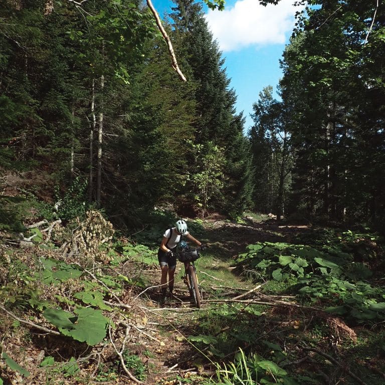 cyclist in a forest